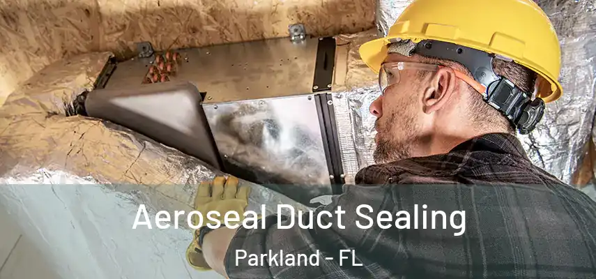  Aeroseal Duct Sealing Parkland - FL