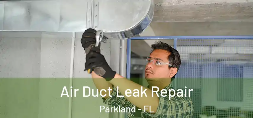  Air Duct Leak Repair Parkland - FL