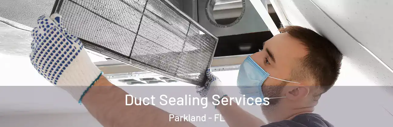  Duct Sealing Services Parkland - FL