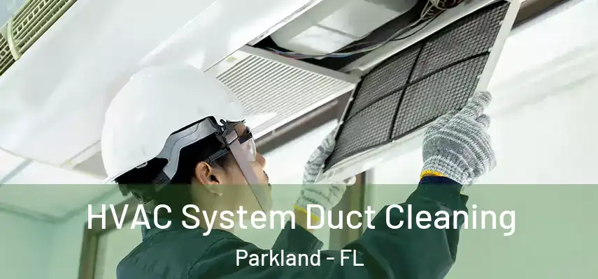  HVAC System Duct Cleaning Parkland - FL